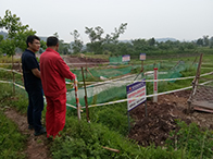 (sh)A˱ M(jn)L(chng)ݔܵ_A