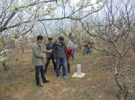 ͚ܵo(w)˙CѲzL(fng)UԄ(dng)Reg(sh)