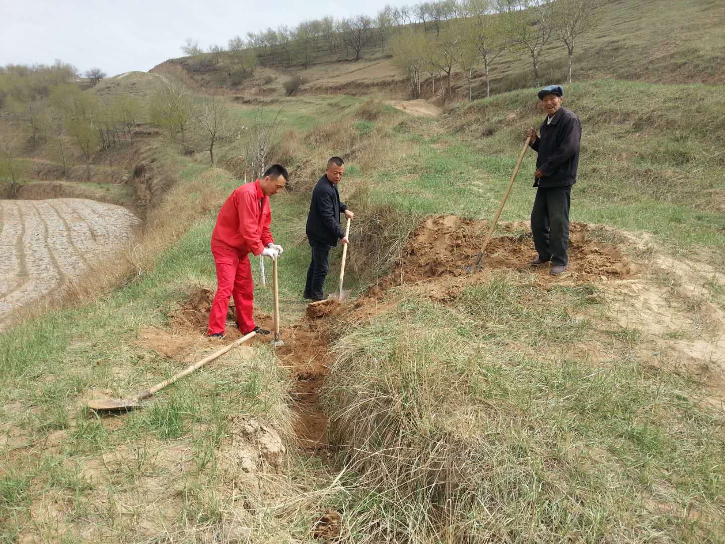 ܵI(y)ھorM(jn)йܵI(y)ɓpʧܵI(y)or