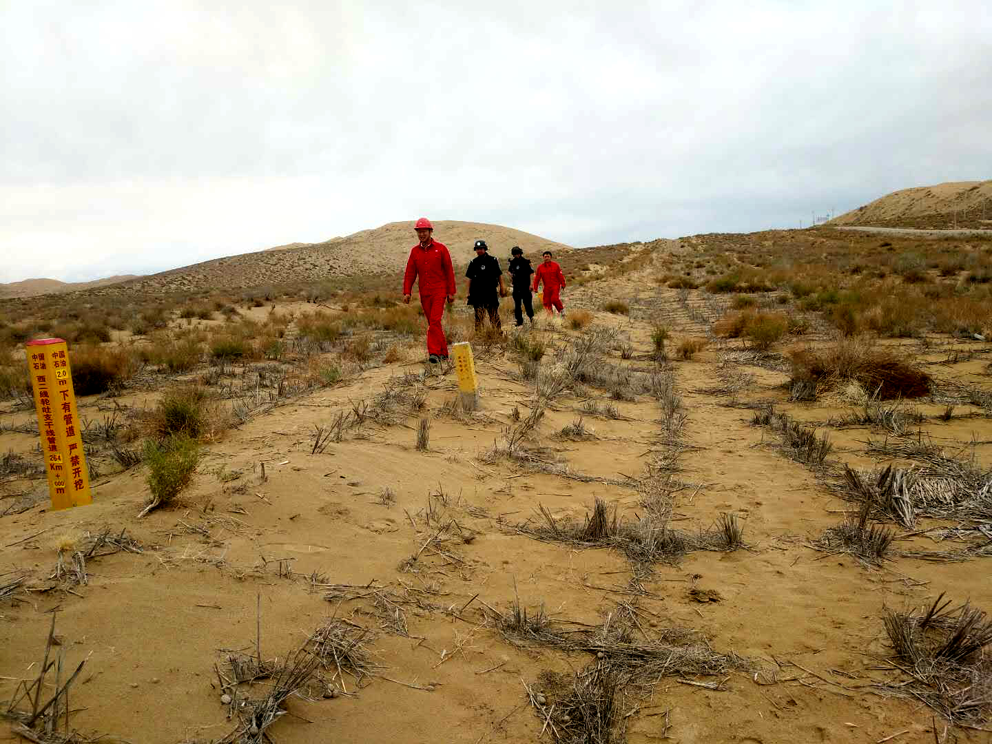 ݔ͹ܵOӋx(xin)ľxcur(ji)ָwϵ