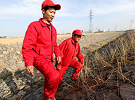 ԓαo](mi)ЇĹS(chng)SҰȫO͚ܿݔ͹ܵMӱӛ