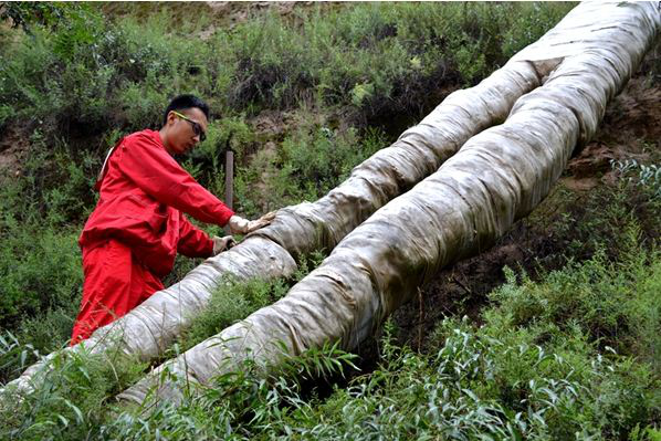 ֮ܵoL(chng)ЧCƵ傀(g)Ҫ