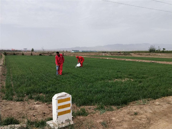 |(zh)ȫur(ji)ȻL(chng)ݔܵ|(zh)ĺL(fng)UеƏV