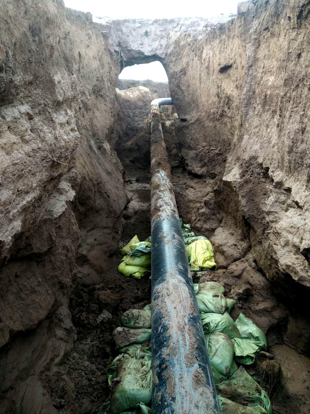 ܵԹ푪|(zh)ĺČ(sh)`