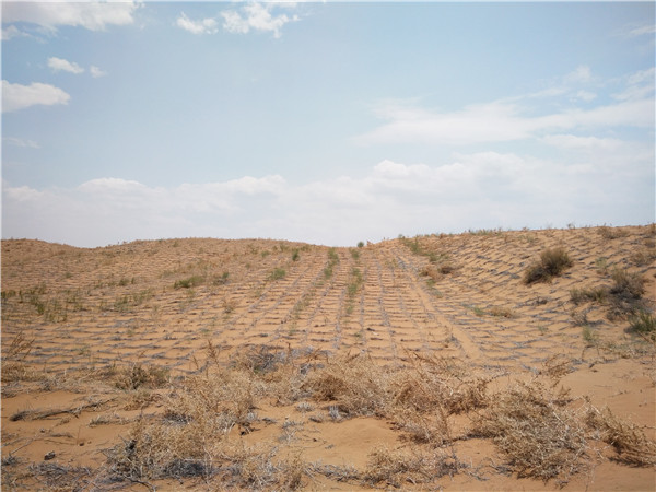 ɳĮ؅^L(chng)ݔܵL(fng)ɳA