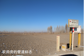 ܵo݋ؙ͚ܵΌ(sh)F(yu)