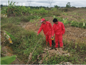 䌍(sh)L(fng)UشʩϹܵߺ^ȫ