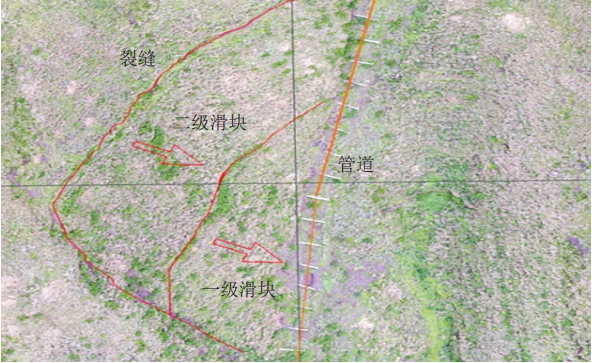 ܵ|(zh)ĺյؽYϱOycL(fng)Uܿ،(sh)`