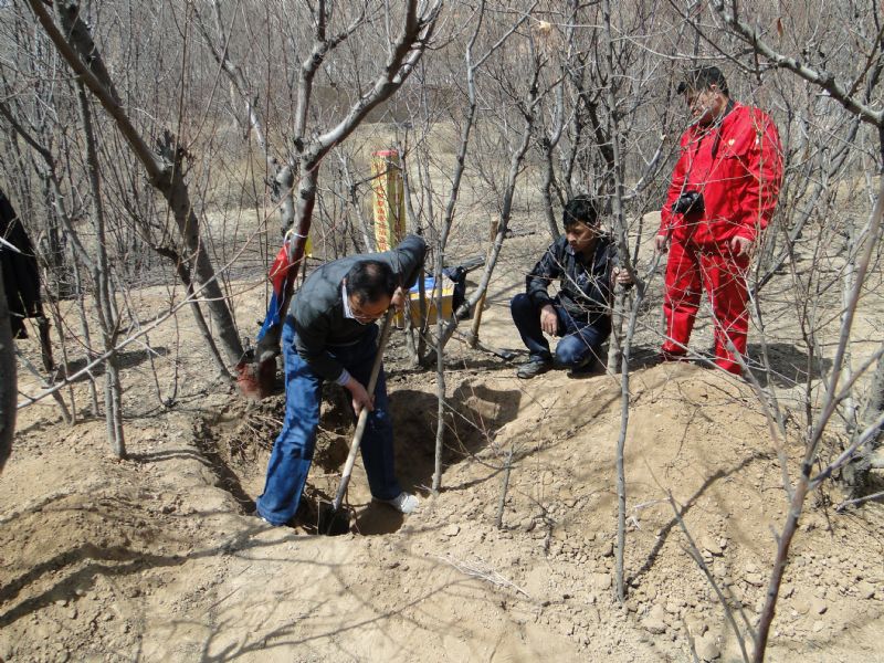 ͚ܵϷNֲҎ֮Ҋ(jin)