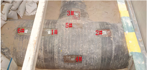 䓼ͨھ(xin)zyg(sh)о