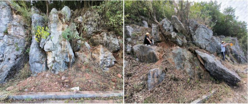 xL(chng)(xin)|(zh)ĺ[ΰ