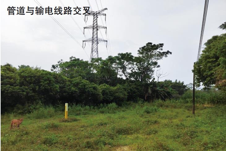 ݔ늾(xin)·͚ܵ늴Ӱ푼ֵ