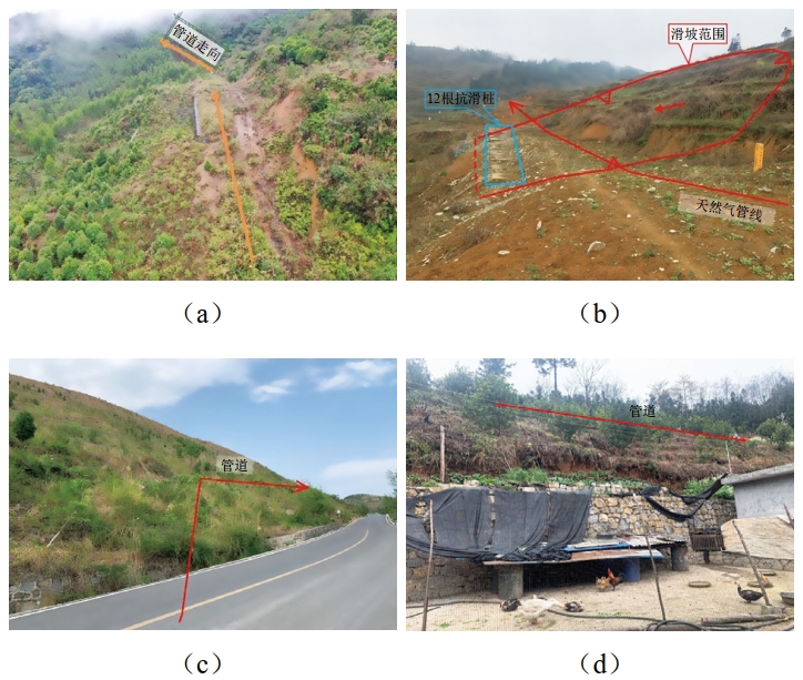 ɽ^ܵM·OΞĺL(fng)Uּܿ،(sh)`