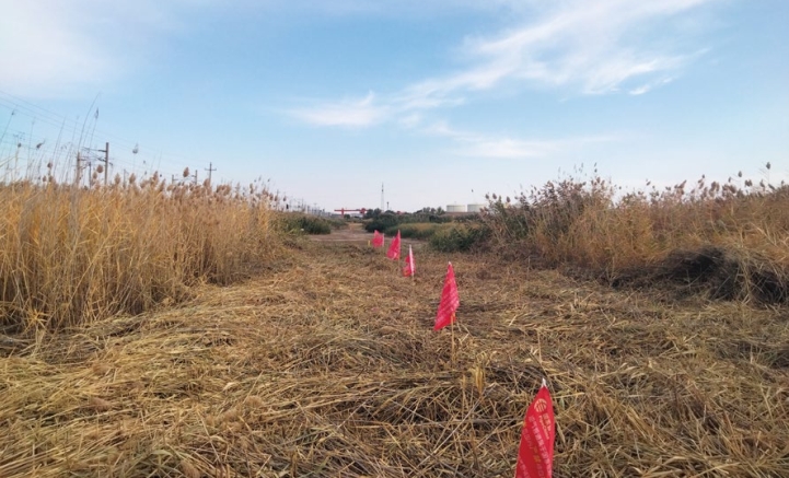 ʯȻܵoP(gun)ڡox͡xҎ