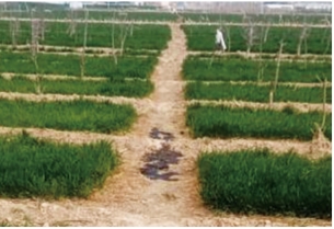 往(xin)ܵĸѿpB¼̎ð