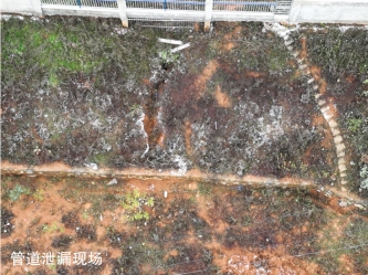 xL(chng)(xin)629ԭ͹ܵй©