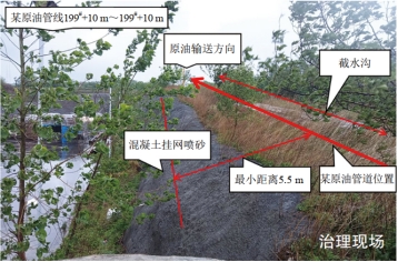 (li)|(zh)ĺӰ푹ܵȫ